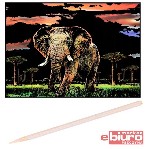 ZDRAPYWANKA PAK 200 SŁOŃ NO-1006251 NORIMPEX