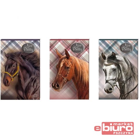 NOTES A6/30K NICE&PRETTY