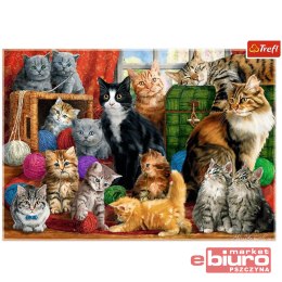 PUZZLE 1000 KOCIE SPOTKANIE 10555 TREFL