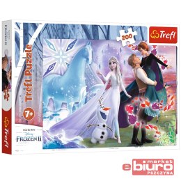 PUZZLE 200 MAGICZNY ŚWIAT SIÓST FROZEN 2 13265