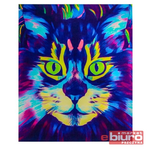 MALOWANIE PO NR. KOT KOLOROWY NORIMPEX