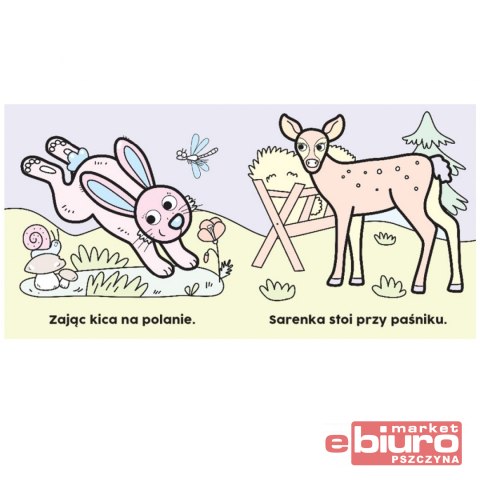 W LESIE. MALOWANKA WODNA