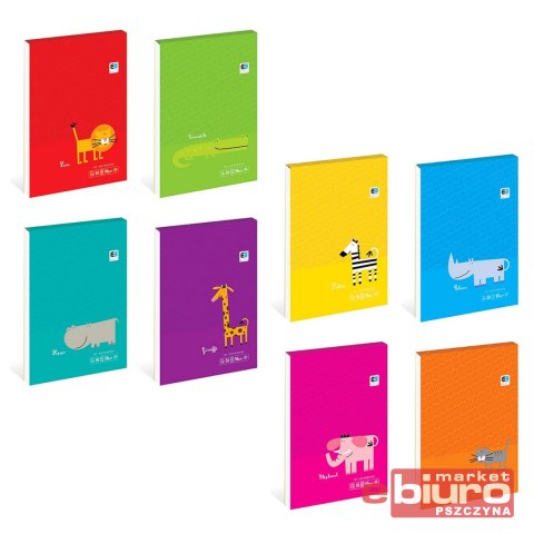 NOTES A6 50 KARTEK Z PODDRUKIEM B&B KIDS INTERDRUK