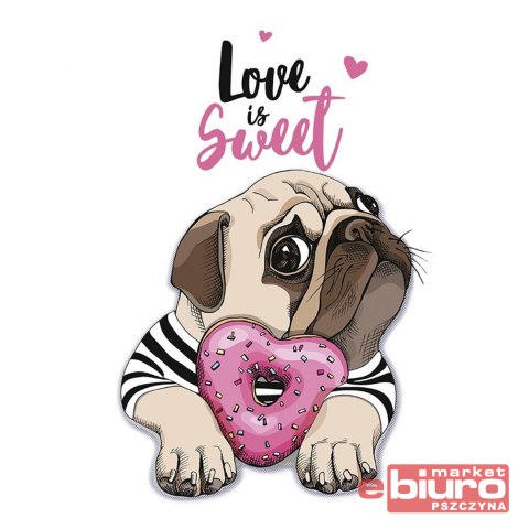 PRASOWANKA TERMO APLIKACJA A4 MOPS