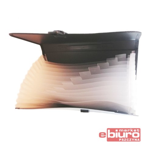 TECZKA Z PRZEGRODAMI CY421HL KTW