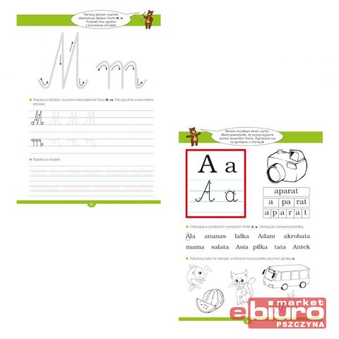 AKADEMIA PRZEDSZKOLAKA NIKO