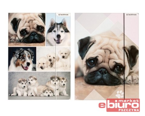 TECZKA Z GUMKA A4 PIESKI 398150