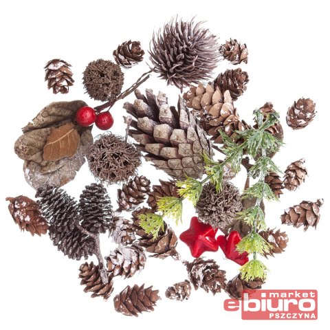 NATURALNE ELEMENTY MIX 50 G DPZA-056