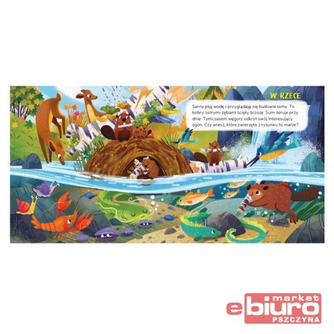 CO ZOBACZĘ POD WODĄ