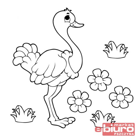 KOLOROWANKA MD KOLOROWE LATANIE