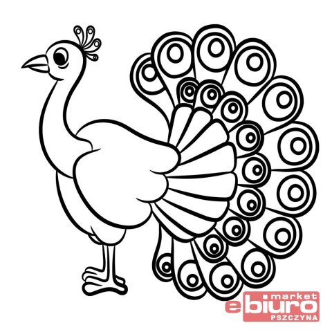 KOLOROWANKA MD KOLOROWE LATANIE