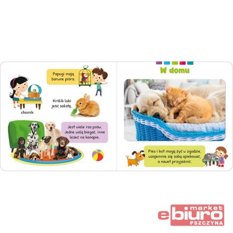 ODKRYCIA MALUCHA. ZWIERZĘTA