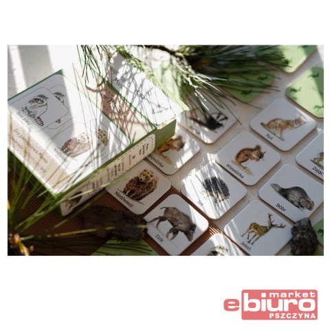 GRA PAMIĘCIOWA MEMO ZWIERZĘTA LEŚNE MAMA MALUJE